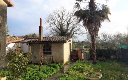 Maison village T6 + jardin